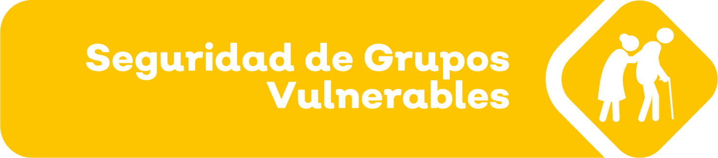 Seguridad de grupos vulnerables