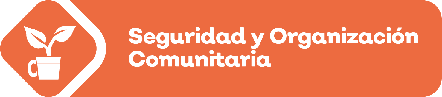 Seguridad comunitaria